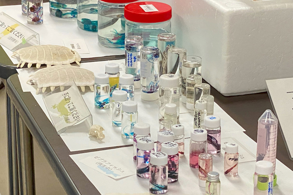 生物学科 独自イベント